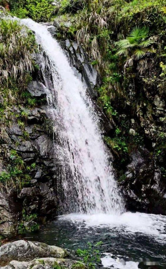 踏雪登山赏美景，不料被困半山腰，民警迅速展开救援